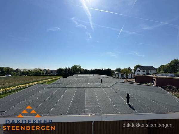 Groot plat dak met bitumen dakbedekking op bedrijfspand in Steenbergen