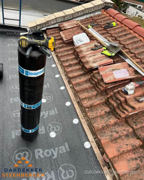 Dakschade herstel: pannendak renovatie in Steenbergen