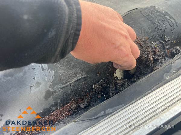 Schade aan bitumen dakbedekking op plat dak in Steenbergen Schade aan bitumen dakbedekking op plat dak in Steenbergen
