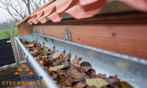 Dakgoot vol bladeren die gereinigd moet worden in Steenbergen Dakgoot vol bladeren die gereinigd moet worden in Steenbergen