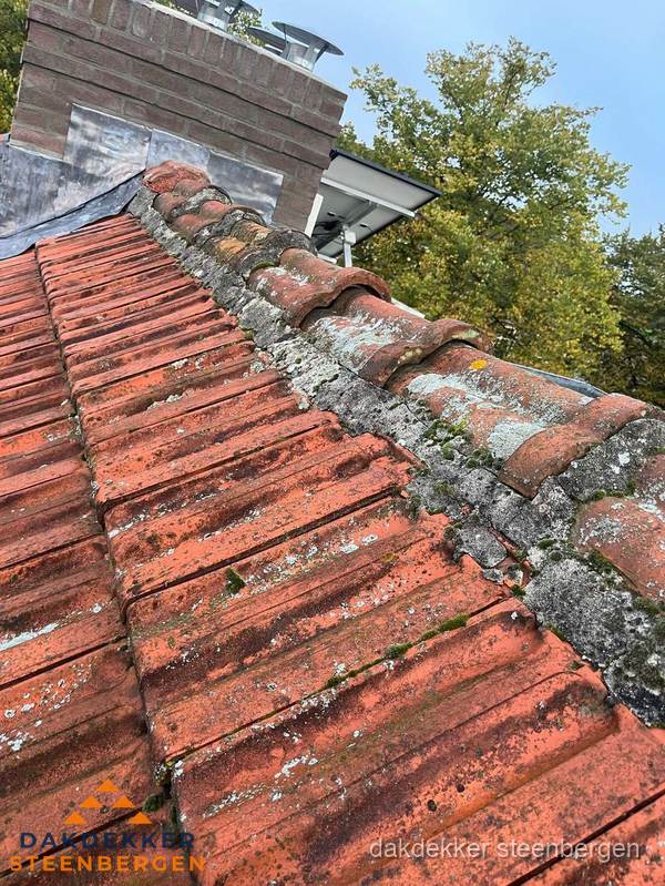 Verweerd hellend dak met mosgroei op nokvorst in Steenbergen Verweerd hellend dak met mosgroei op nokvorst in Steenbergen