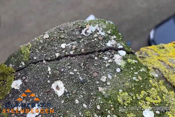 Beschadigde en verweerde nokvorst met scheuren en mos in Steenbergen Beschadigde en verweerde nokvorst met scheuren en mos in Steenbergen