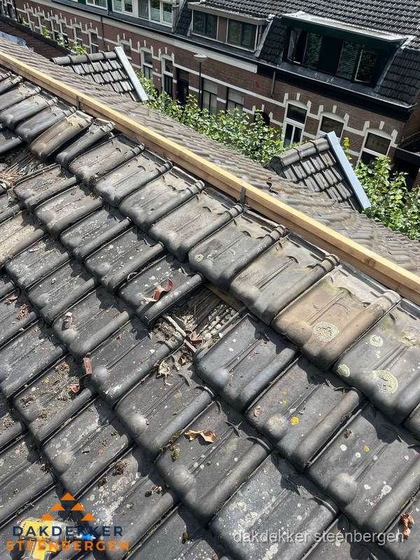Dakonderhoud aan schuin pannendak met nokvernieuwing in Steenbergen