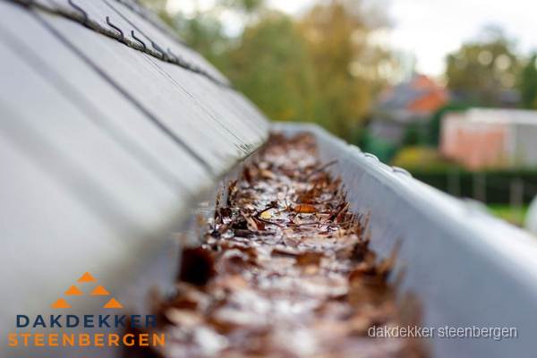 Verstopte dakgoot met bladeren schoonmaken in Steenbergen