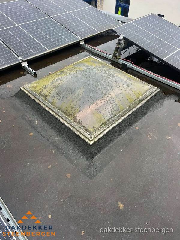 Vervuilde lichtkoepel op plat dak met zonnepanelen in Steenbergen Vervuilde lichtkoepel op plat dak met zonnepanelen in Steenbergen